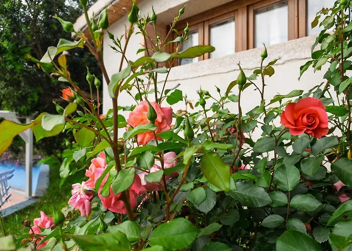 Agriturismo Guparza Posada 